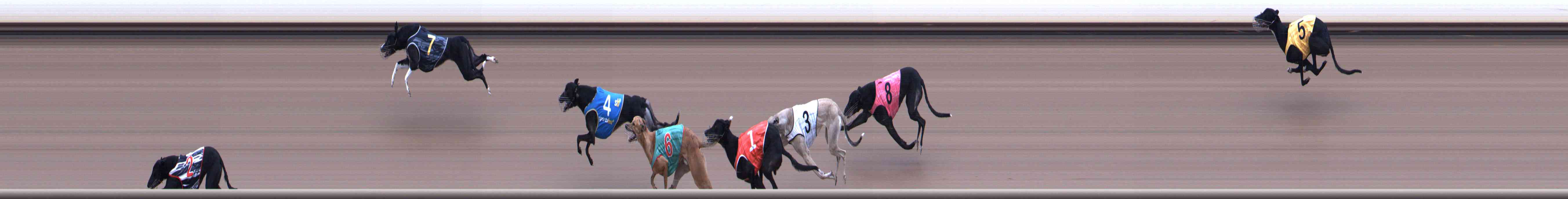 Race result finish photo